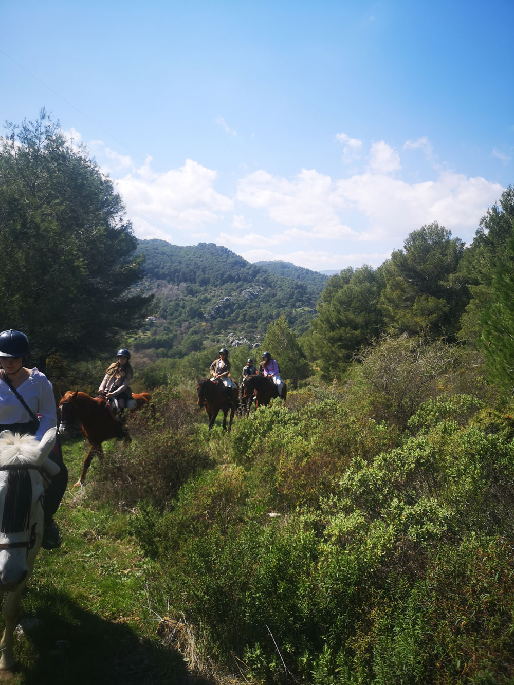 Hotel Rural rutas a caballo